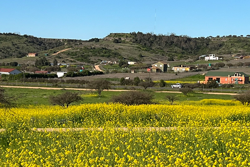 Lomas de Santa Mónica