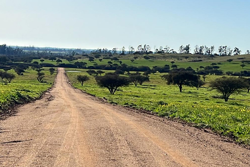 Lomas de Santa Mónica