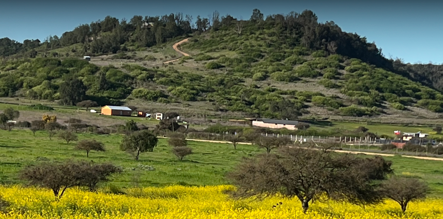 Lomas de Santa Monica